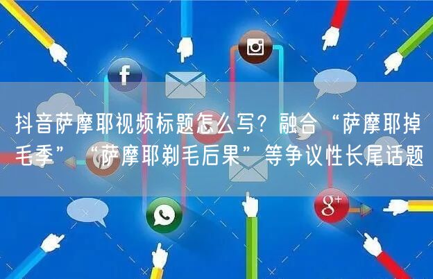 抖音萨摩耶视频标题怎么写？融合“萨摩耶掉毛季”“萨摩耶剃毛后果”等争议性长尾话题