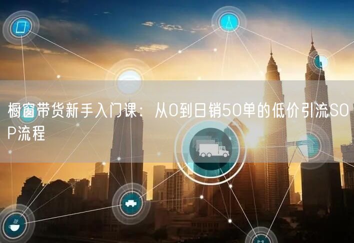 橱窗带货新手入门课：从0到日销50单的低价引流SOP流程