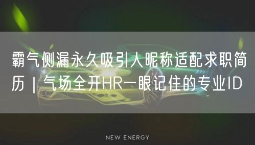 霸气侧漏永久吸引人昵称适配求职简历｜气场全开HR一眼记住的专业ID