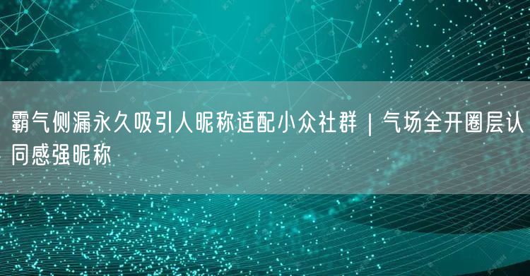 霸气侧漏永久吸引人昵称适配小众社群｜气场全开圈层认同感强昵称