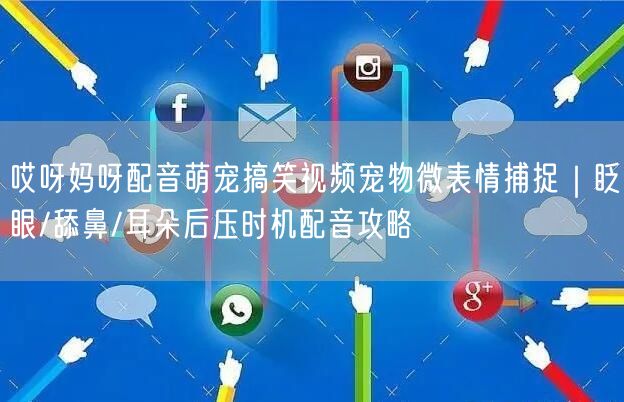 哎呀妈呀配音萌宠搞笑视频宠物微表情捕捉｜眨眼/舔鼻/耳朵后压时机配音攻略