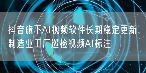 抖音旗下AI视频软件长期稳定更新，制造业工厂巡检视频AI标注