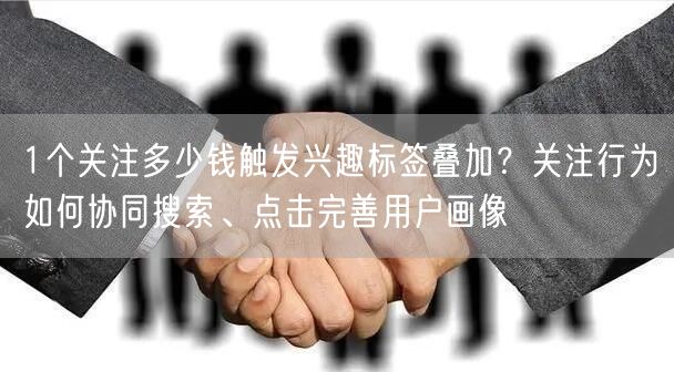 1个关注多少钱触发兴趣标签叠加？关注行为如何协同搜索、点击完善用户画像