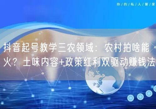 抖音起号教学三农领域：农村拍啥能火？土味内容+政策红利双驱动赚钱法