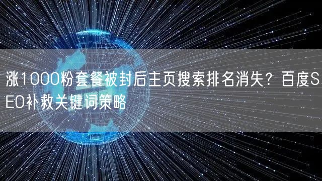 涨1000粉套餐被封后主页搜索排名消失？百度SEO补救关键词策略