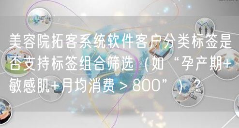 美容院拓客系统软件客户分类标签是否支持标签组合筛选（如“孕产期+敏感肌+月均消费