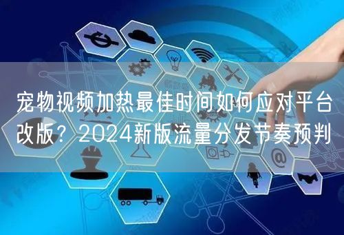 宠物视频加热最佳时间如何应对平台改版？2024新版流量分发节奏预判